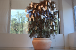 The Wish Tree