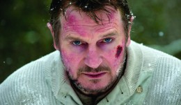 Liam Neeson Sees You
