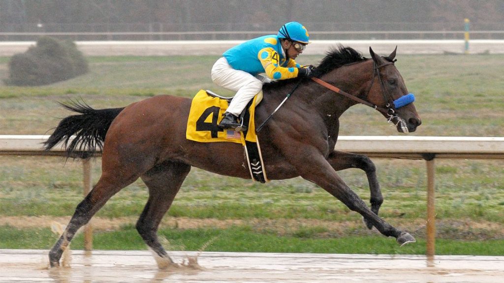 American Pharoah Wins Triple Crown