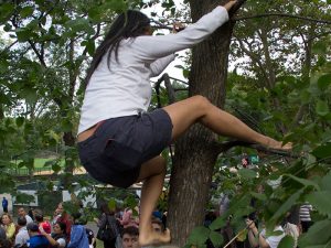 tree-climber