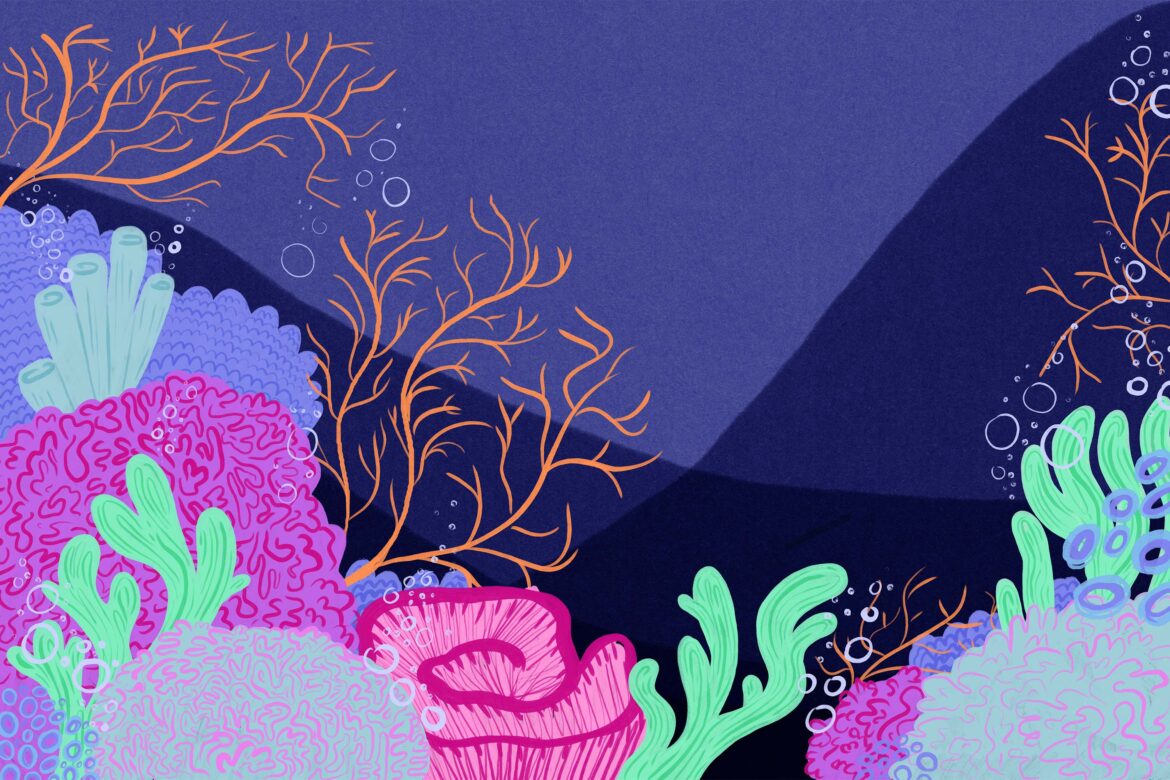 Corals are not colorful in real life