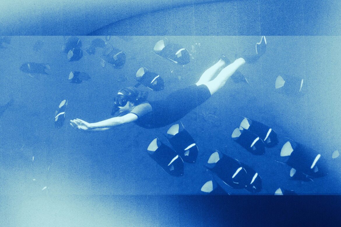 The shark-diving life of Kayleigh Grant