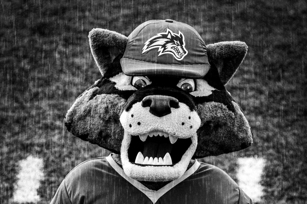 Wolfie parts ways with Stony Brook after Mascot Madness controversy